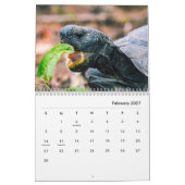 Calendrier des Murs de tortues (Feb 2027)