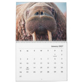 Calendrier des murs de Walrus (Jan 2027)