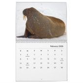 Calendrier des murs de Walrus (Feb 2026)