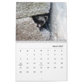 Calendrier des murs des ferrets (Mar 2027)