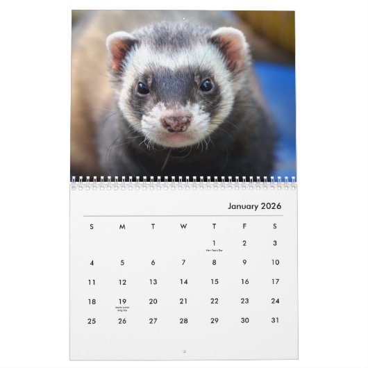 Calendrier des murs des ferrets (Jan 2026)