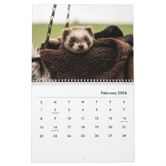 Calendrier des murs des ferrets (Feb 2026)