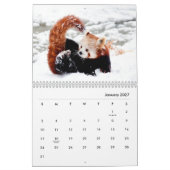 Calendrier des murs des pandas rouges (Jan 2027)