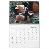 Calendrier des murs des pandas rouges (Mar 2027)