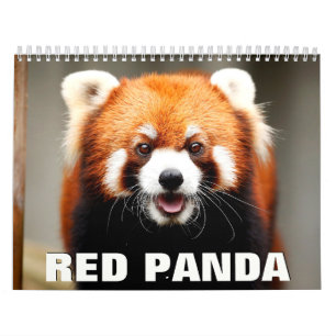 Calendrier des murs des pandas rouges