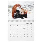 Calendrier des murs des pandas rouges (Jan 2026)