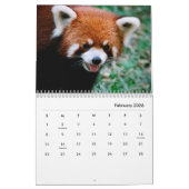 Calendrier des murs des pandas rouges (Feb 2026)