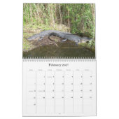 Calendrier des murs Everglades (Feb 2027)