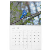 Calendrier des oiseaux (Mar 2027)