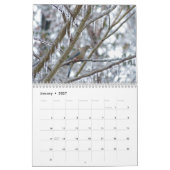 Calendrier des oiseaux (Jan 2027)