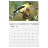 Calendrier des oiseaux (Mar 2027)