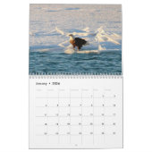 Calendrier des oiseaux (Jan 2026)
