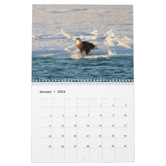 Calendrier des oiseaux (Jan 2026)