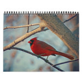 Calendrier des oiseaux (Protection)