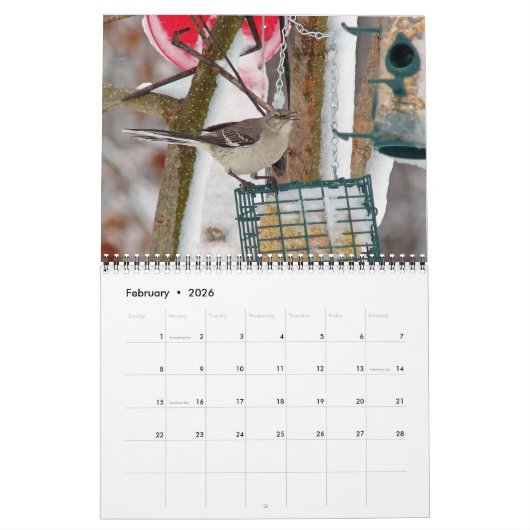 Calendrier des oiseaux (Feb 2026)