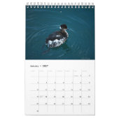 Calendrier des oiseaux (Jan 2027)