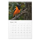 Calendrier des oiseaux (Feb 2026)