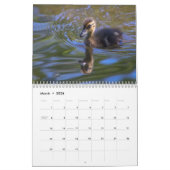 calendrier des oiseaux (Mar 2026)