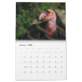 calendrier des oiseaux (Jan 2026)