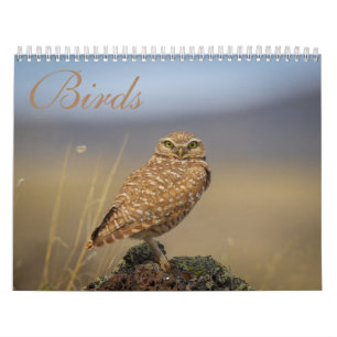 calendrier des oiseaux