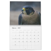 calendrier des oiseaux (Feb 2027)