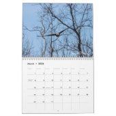 Calendrier des oiseaux (Mar 2026)