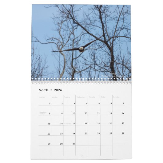 Calendrier des oiseaux (Mar 2026)