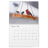 Calendrier des oiseaux (Feb 2026)