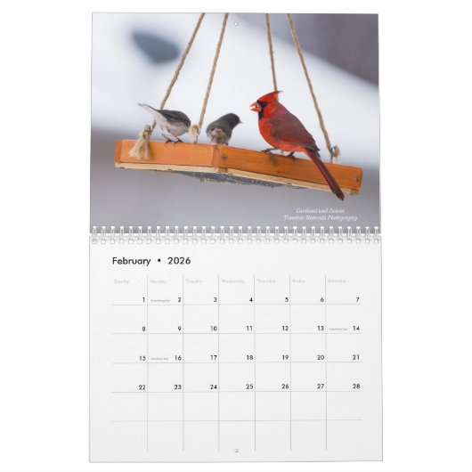 Calendrier des oiseaux (Feb 2026)