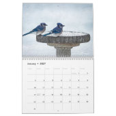 Calendrier des oiseaux (Jan 2027)