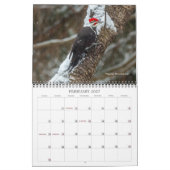 Calendrier des oiseaux (Feb 2027)