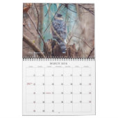 Calendrier des oiseaux (Mar 2026)