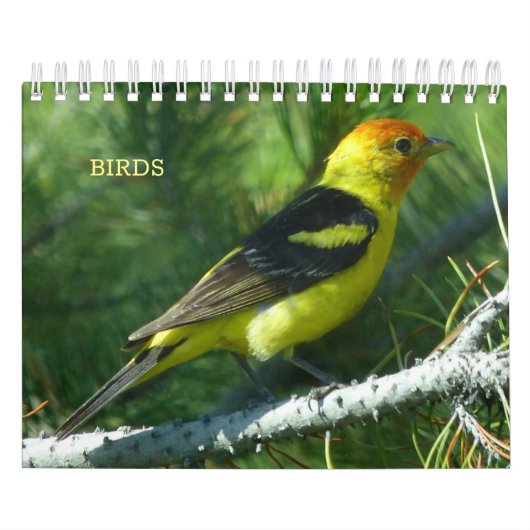 Calendrier des oiseaux (Protection)