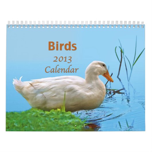 Calendrier des oiseaux 2013 (Protection)