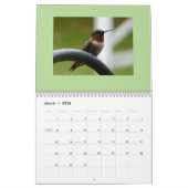 Calendrier des oiseaux 2019 (Mar 2026)