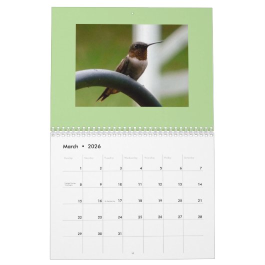 Calendrier des oiseaux 2019 (Mar 2026)