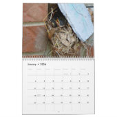 Calendrier des oiseaux 2019 (Jan 2026)