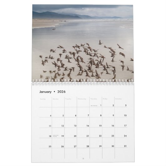 Calendrier des oiseaux 2020 (Jan 2026)