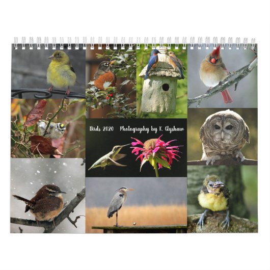 Calendrier des oiseaux 2020 (Protection)