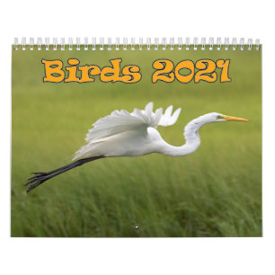 Calendrier des oiseaux 2021