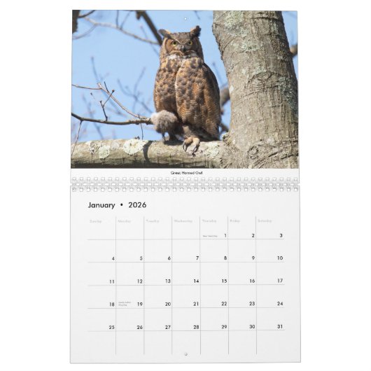 Calendrier des oiseaux 2021 (Jan 2026)