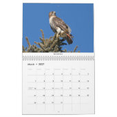 Calendrier des oiseaux 2021 (Mar 2027)