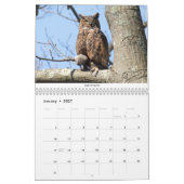Calendrier des oiseaux 2021 (Jan 2027)