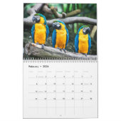 calendrier des oiseaux 2023 (Feb 2026)