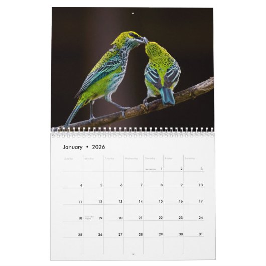 calendrier des oiseaux 2023 (Jan 2026)