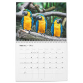 calendrier des oiseaux 2023 (Feb 2027)
