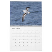 Calendrier des oiseaux 2023 (Mar 2027)