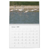 Calendrier des oiseaux 2023 (Jan 2027)