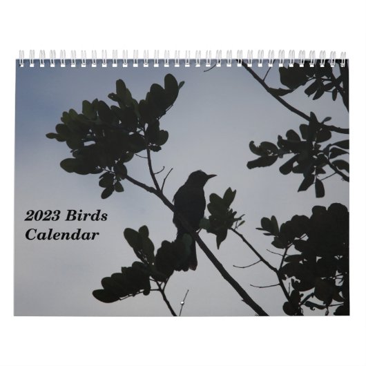 Calendrier des oiseaux 2023 (Protection)