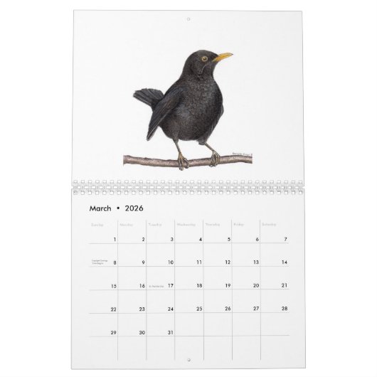 Calendrier des oiseaux 2024 (Mar 2026)